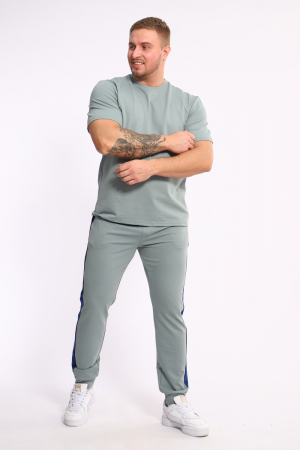 Мужской костюм 35282 / полынь