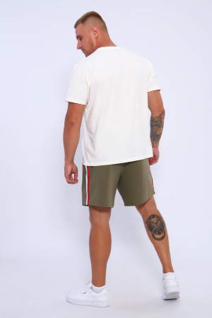 Мужские шорты 35336 / хаки