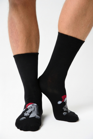 Мужские носки стандарт Лукас / черный