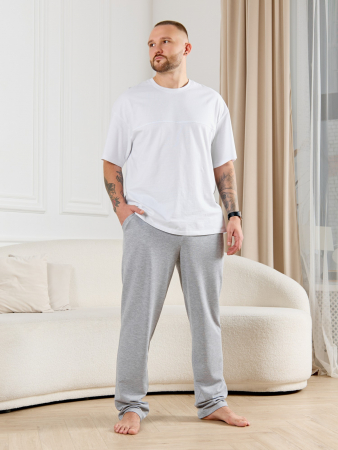 Брюки мужские Тор-4.2 / серый меланж