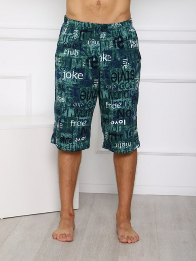 Мужские шорты Ш-3 / БЗ