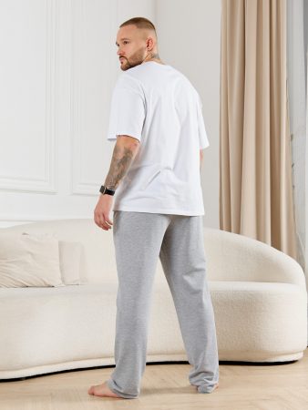 Брюки мужские Тор-4.2 / серый меланж