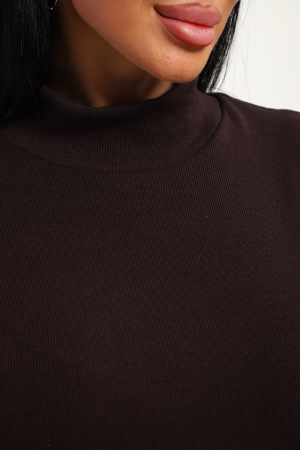 Женская водолазка 74721 / шоколадный