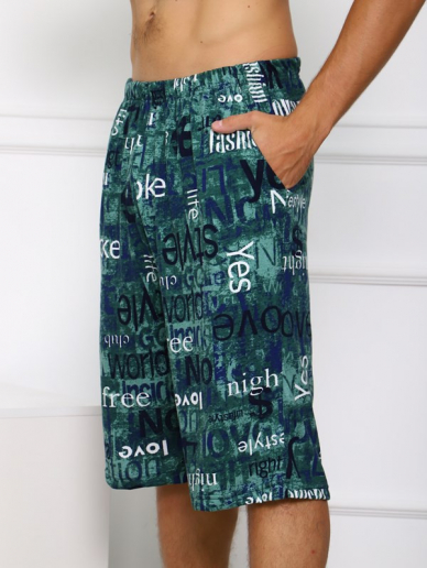 Мужские шорты Ш-3 / БЗ