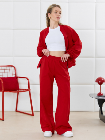 Женские брюки Баланс-2 / красный
