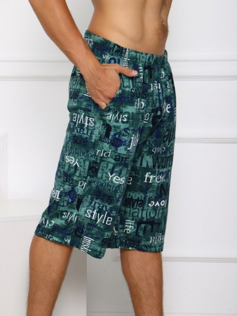 Мужские шорты Ш-3 / БЗ