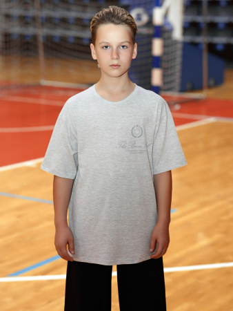 Футболка для мальчика Успех-8.1 / кармеланж