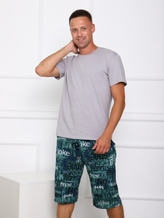 Мужские шорты Ш-3 / БЗ