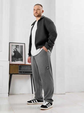 Мужские брюки Акс / серый