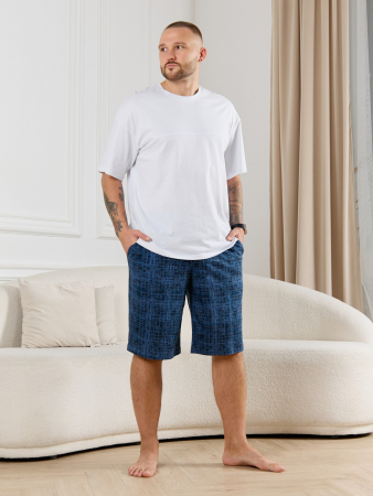 Шорты мужские Тор-2 / лён