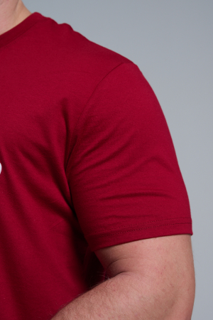 Мужская футболка 8581 / бордо+Д мороз с гитарой