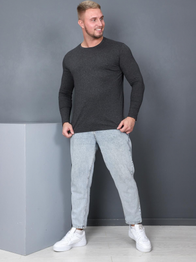 Мужской лонгслив Рейнир / антрацитовый