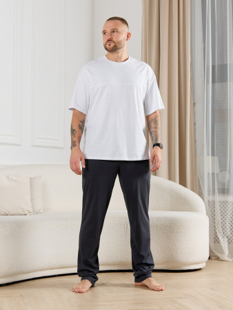 Брюки мужские Тор-3 / графитовый